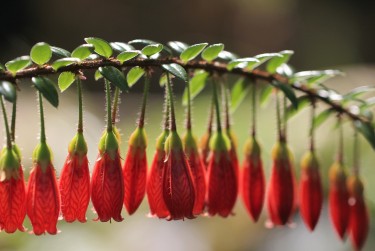 肇庆私人快速借钱网，轻松解决资金难题