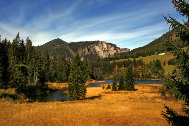 肇庆民间私贷攻略：揭秘低成本借贷的秘密