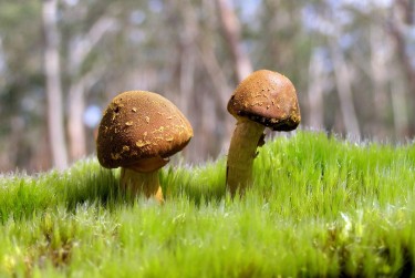 肇庆私人老板放款：轻松融资的秘密通道